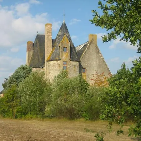 Manor House, Huge Park, Le Mans Area Holiday home *
